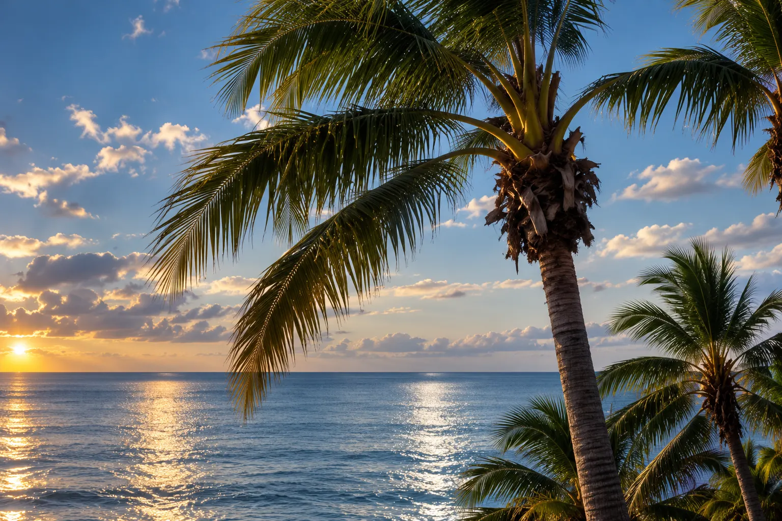 Coastal property before a potential insurance loss